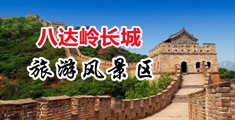 插美女网站中国北京-八达岭长城旅游风景区