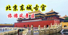 大鸡巴肏人妻屄视频中国北京-东城古宫旅游风景区